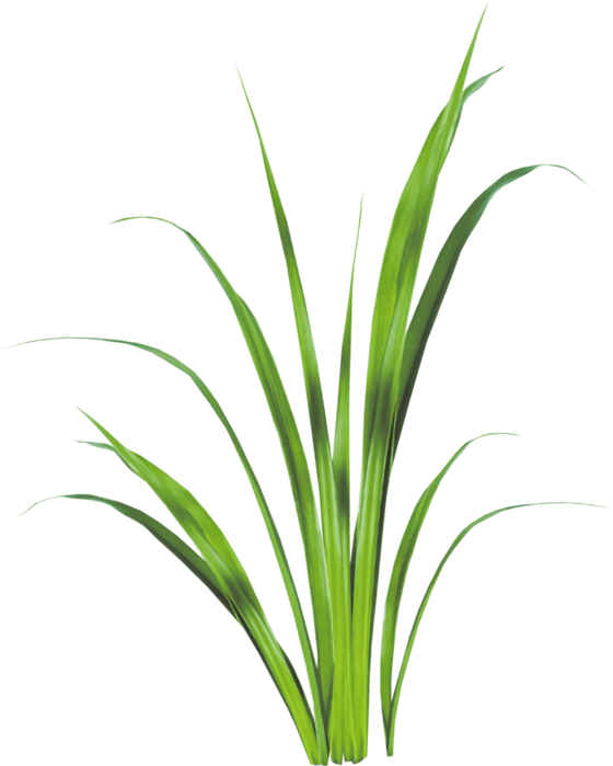 Grass decoration